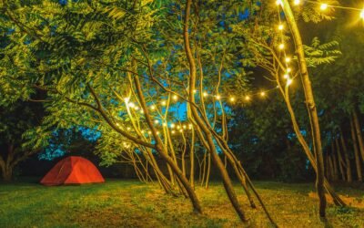 Top Trends in Backyard Lighting for 2021