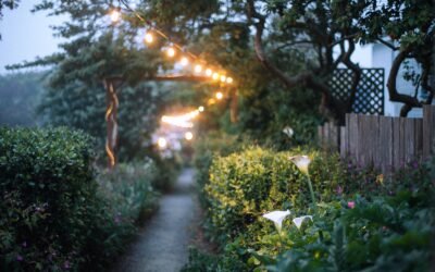 Everything You Must Know About Hanging String Lights in Your Backyard