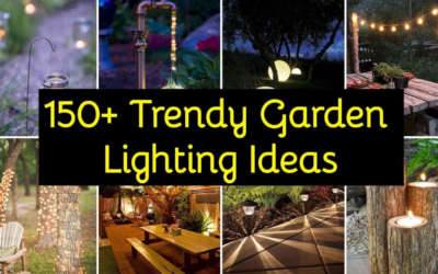 Top 5 Eye-Catching Garden Lighting Ideas