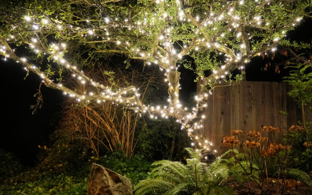 Tree Lighting Ideas That Will Light Up Your Garden